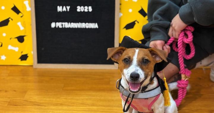 Happy Khimera Dogg Society