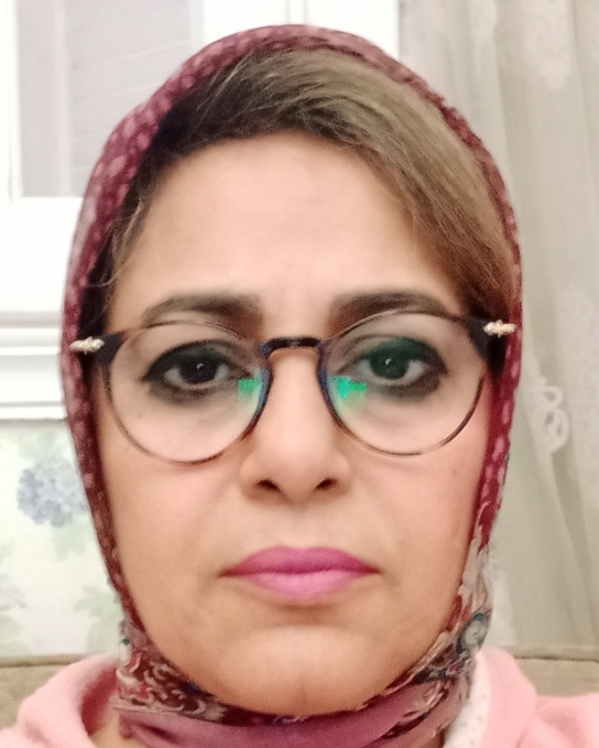 Amira Mohamed Abdallah Nasr