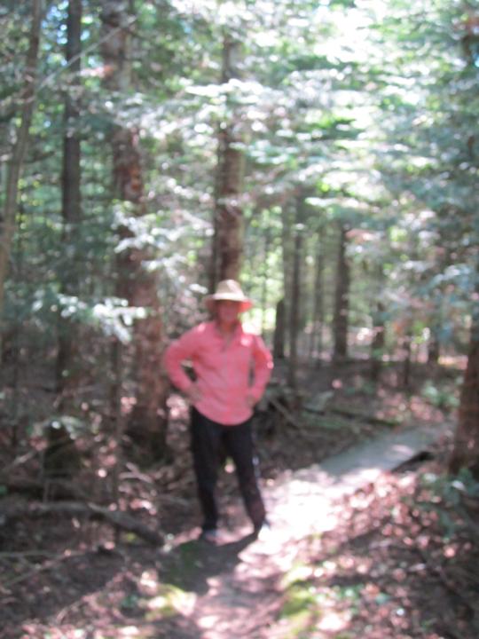 Lisa Nagle