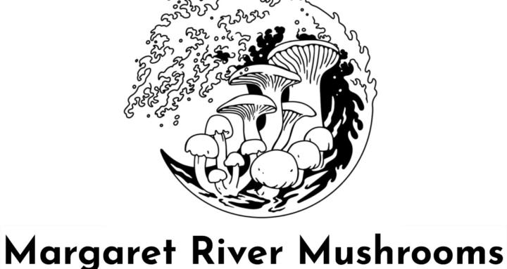 Adventure Mushroom School