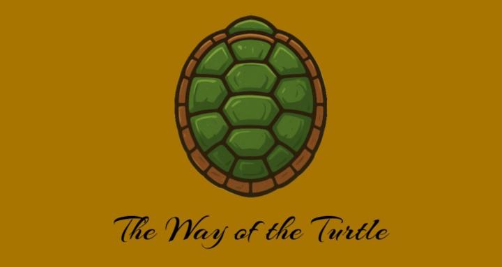 The Way of the Turtle