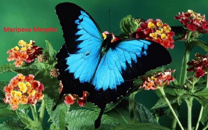 Esther Perez Lorenzo