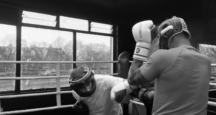 Boxwright Academy