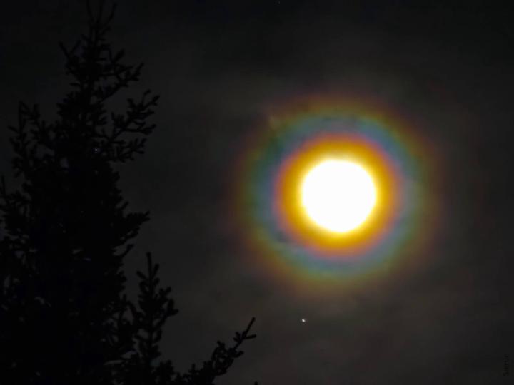 M00N LAST NiGHT 🌝