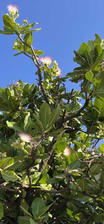 Notes for radical living 🙏