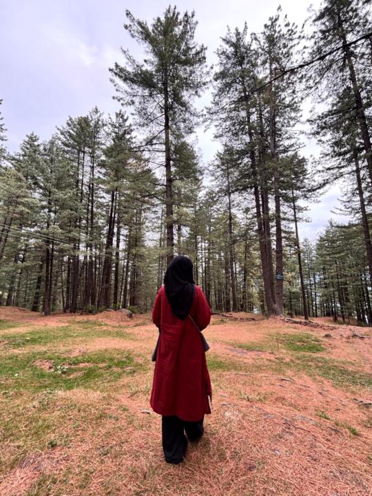 Khadijah Mehmood
