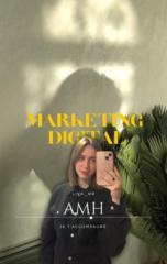 Liva Marketing Digital