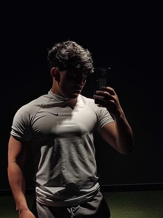 Jarvin David Santos Hernández