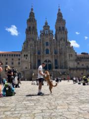 Carlos Garcia Rovira