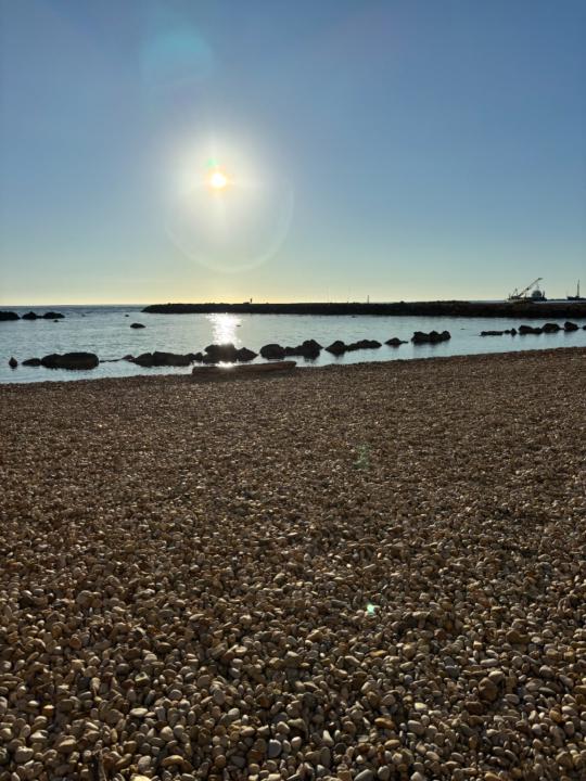 Lorenzo Vagheggi marino