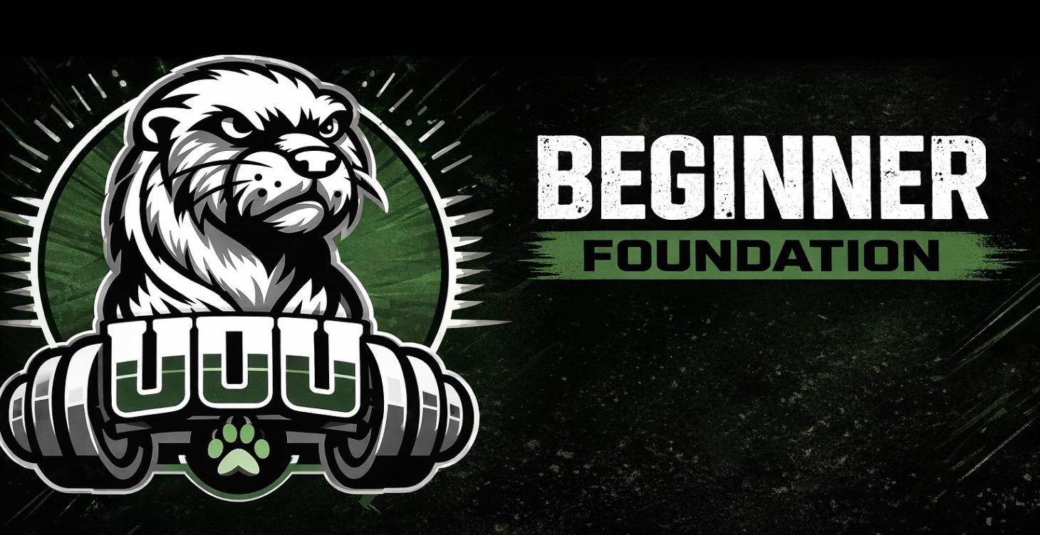 Beginner- Foundation