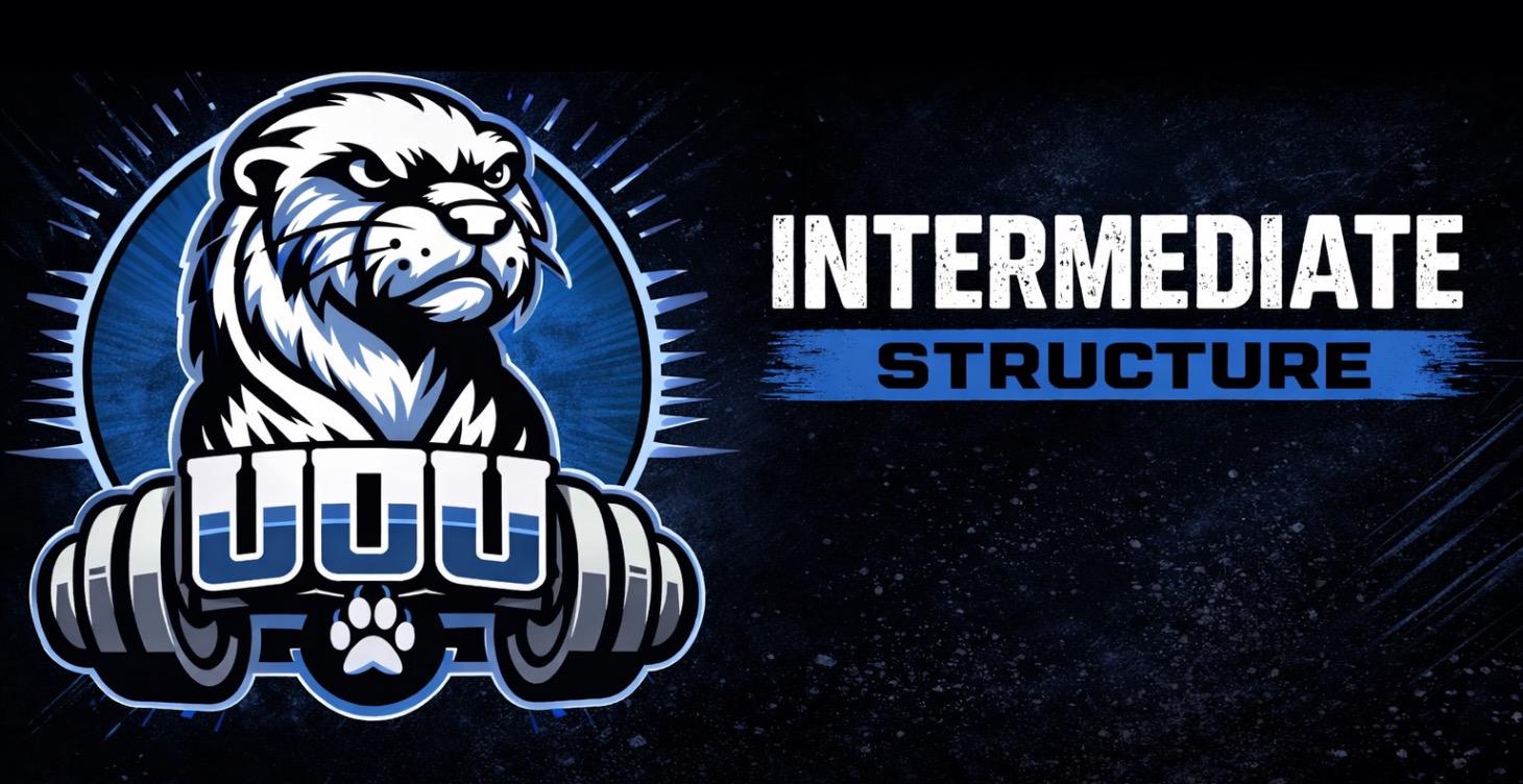 Intermediate- Structure