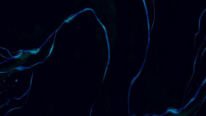 Gabriel Ignacio Lopez