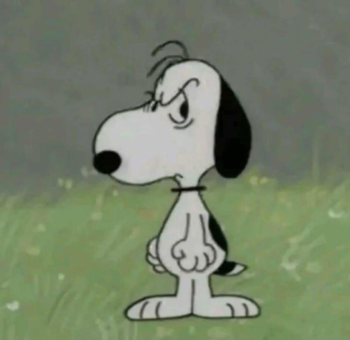 Thùy Na My Nguyễn