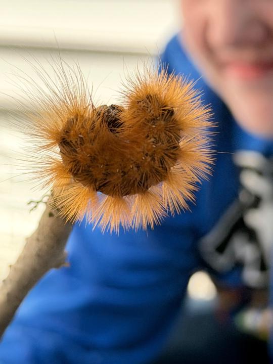 Christina Mcwilliams