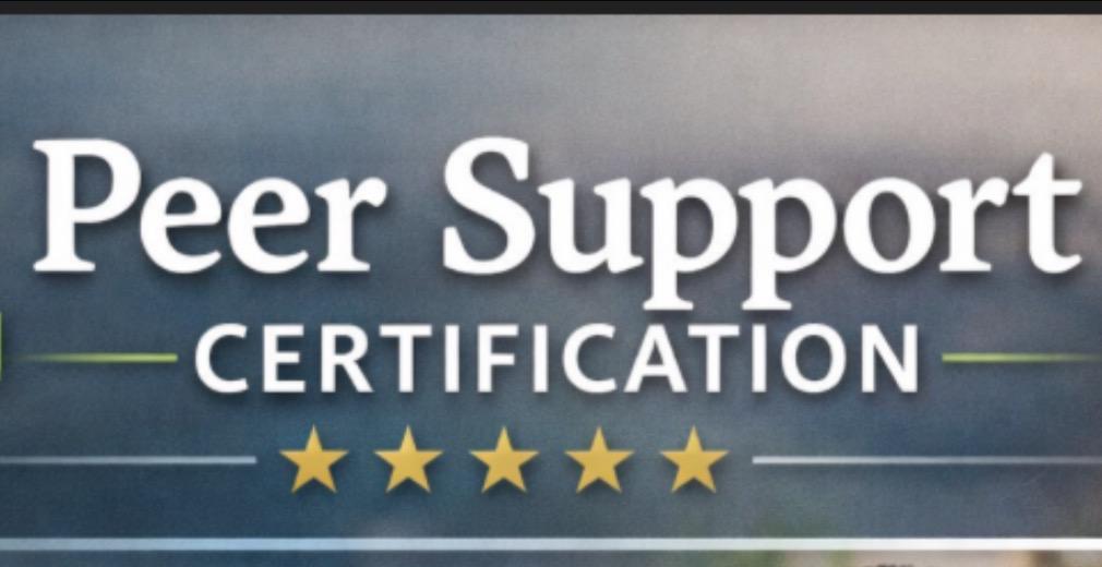 Peer Support 101