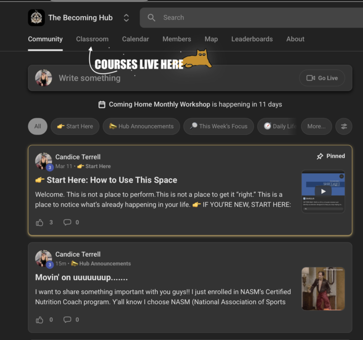 Where are the Courses? How to upgrade to PREMIUM $19/mo
