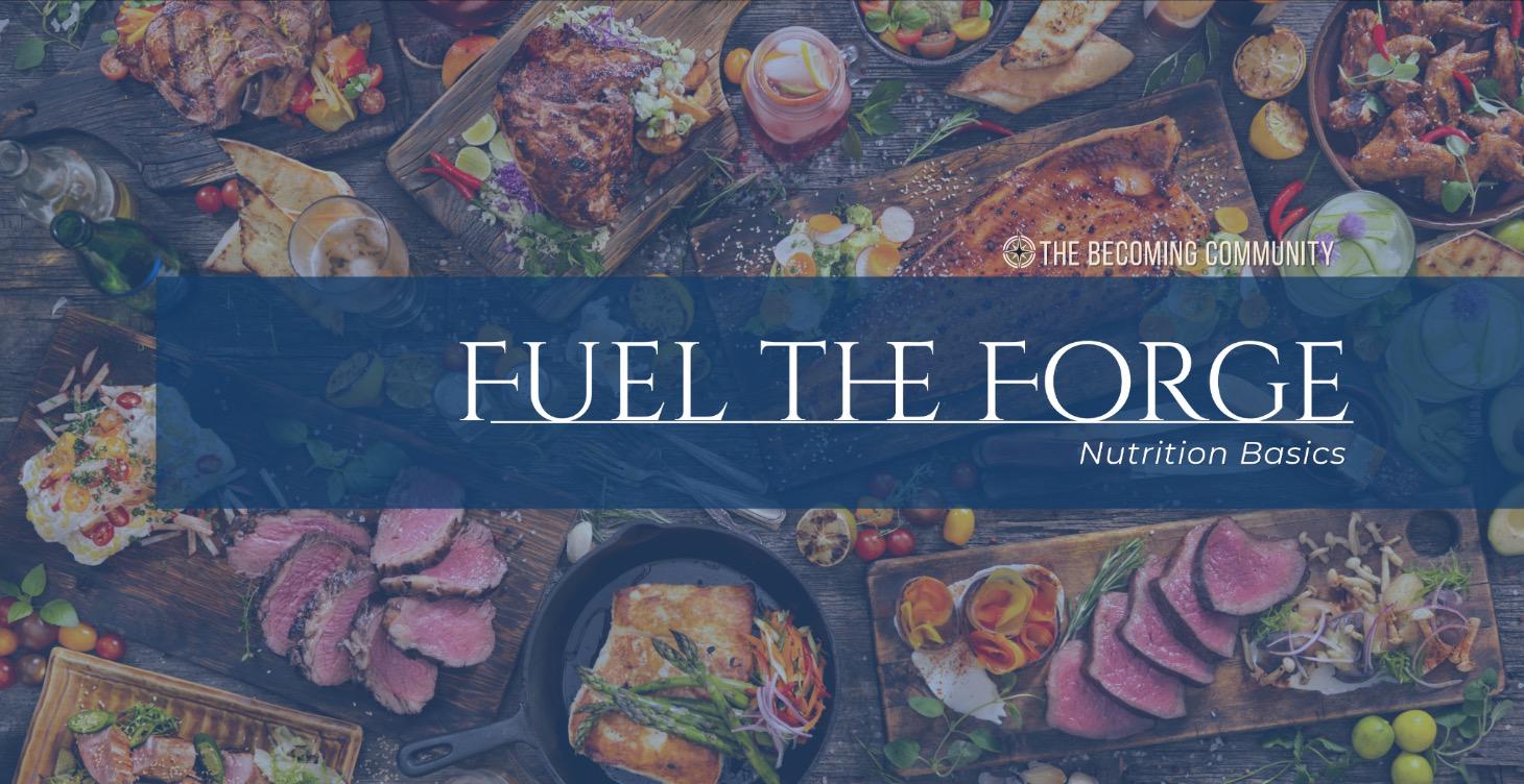 🔥 Fuel the Forge (Nutrition Basics)