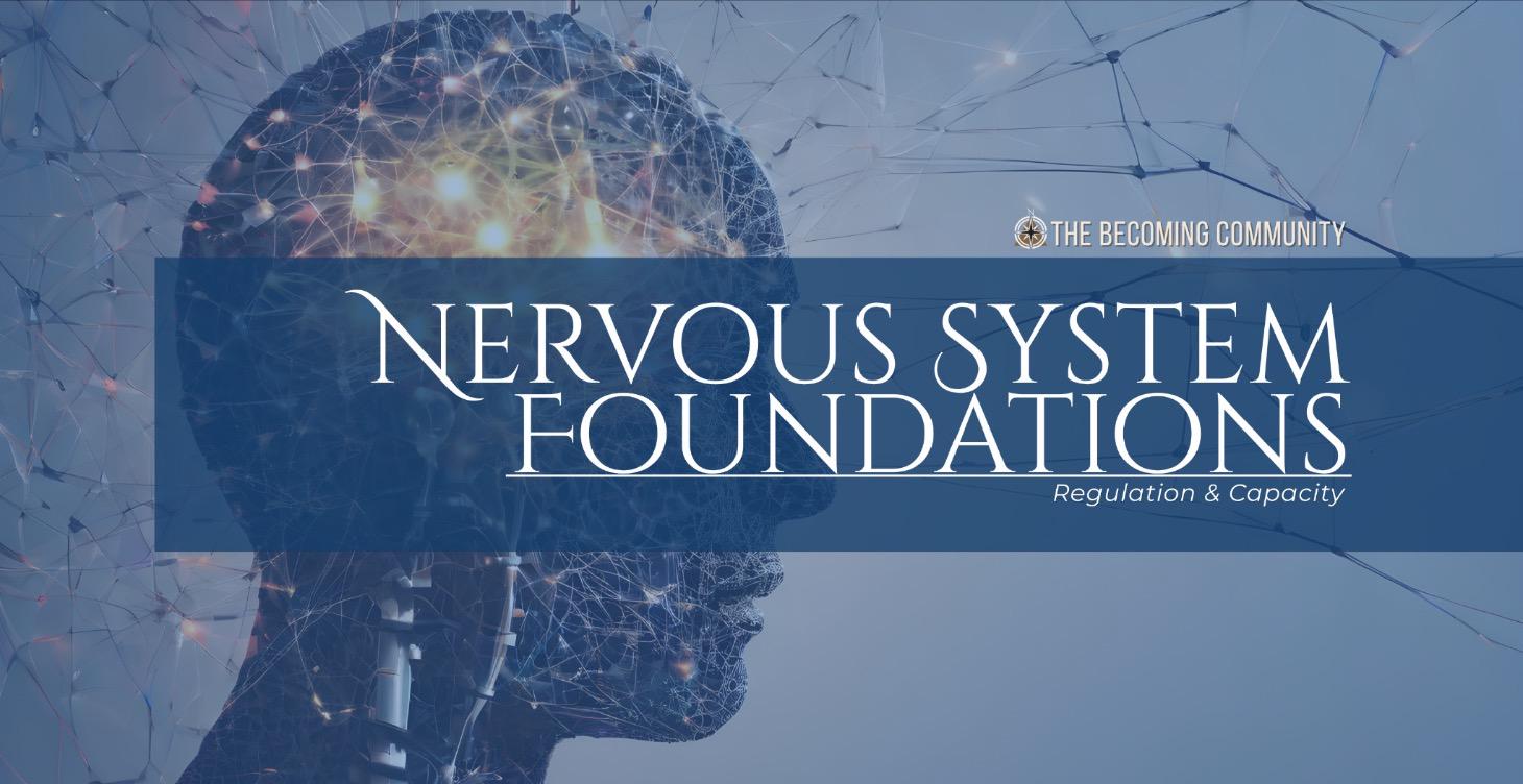 🧠 Nervous System Foundations