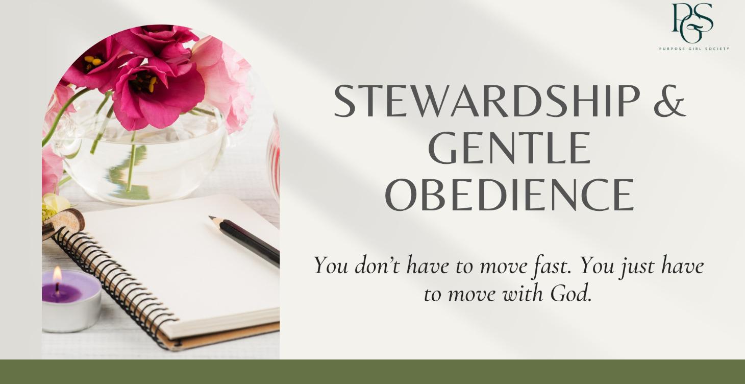 6. Stewardship & Gentle Obedience