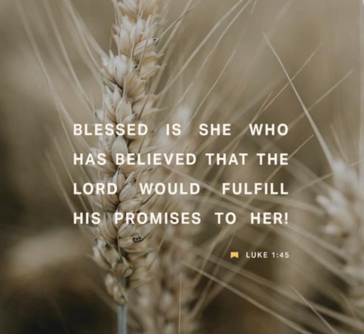 Faith That Carries the Promise