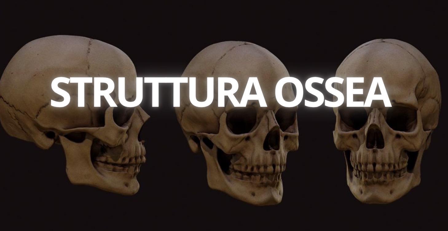 STRUTTURA OSSEA DEL VISO
