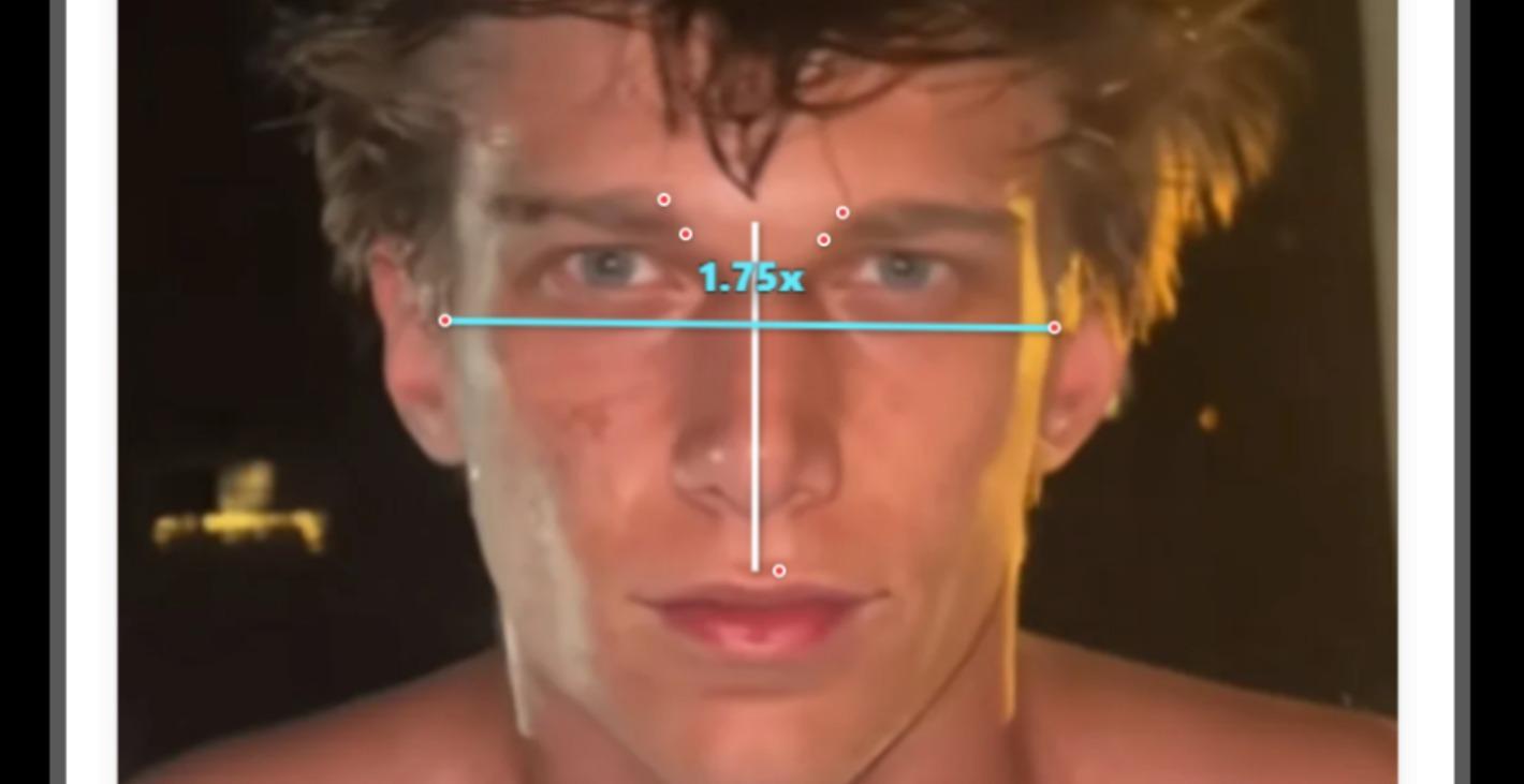 HOW Genetics Determine Looks