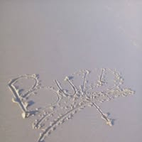 Motubatse aloysius Motubatse