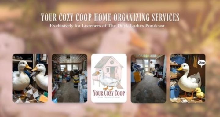 Your Cozy Coop Home Organizing