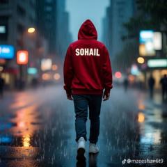 Sohail Bashir