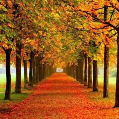 María de los Angeles Chavez