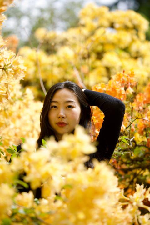 Ting Wei
