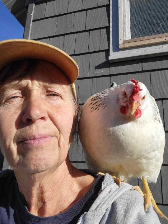 Glenda Livingston