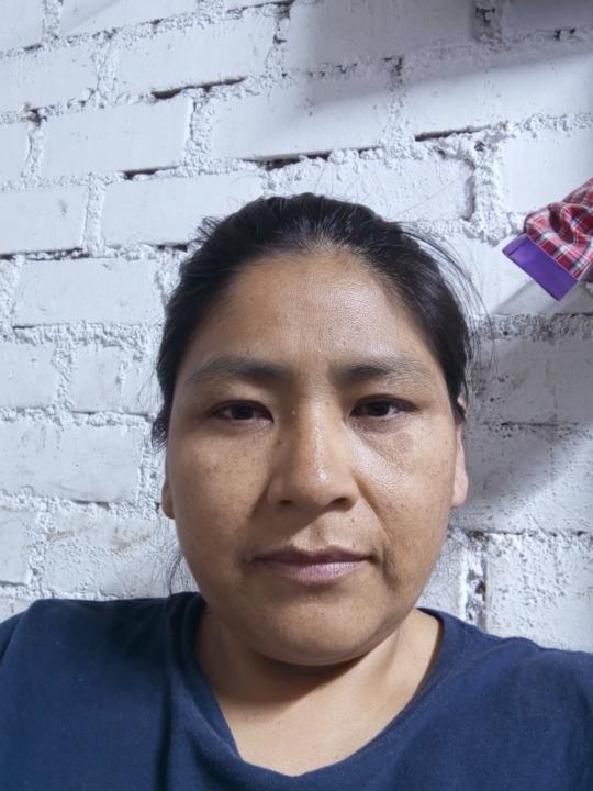 Yanet Arratia chambi