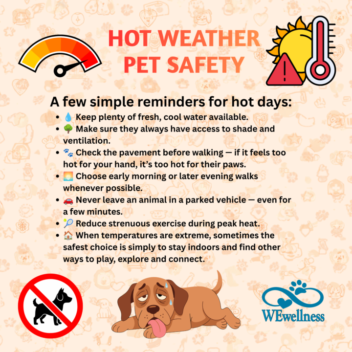 PET SAFTEY in HOT WEATHER (as posted in Moving Beyond Words)