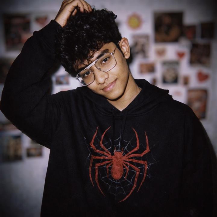 Thinesh Shevin Ishrawarige Fernando