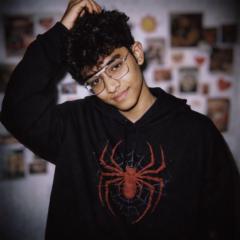 Thinesh Shevin Ishrawarige Fernando