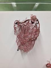 Mariano Izquierdo Hernández