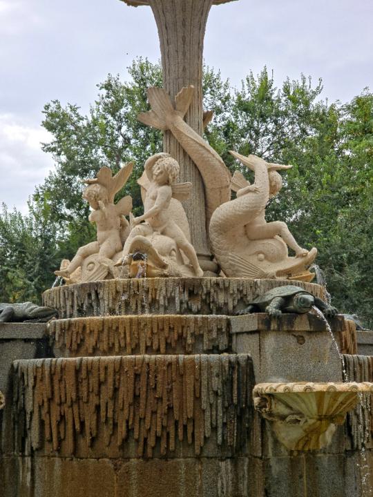 Mikołaj Młochowski