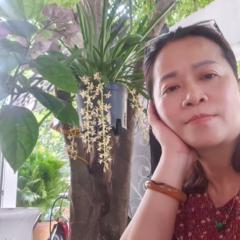 Thanh Phuong Ho