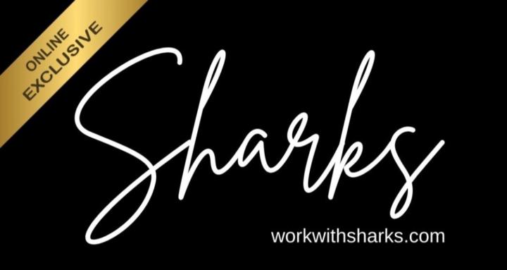 Work With Sharks HUB