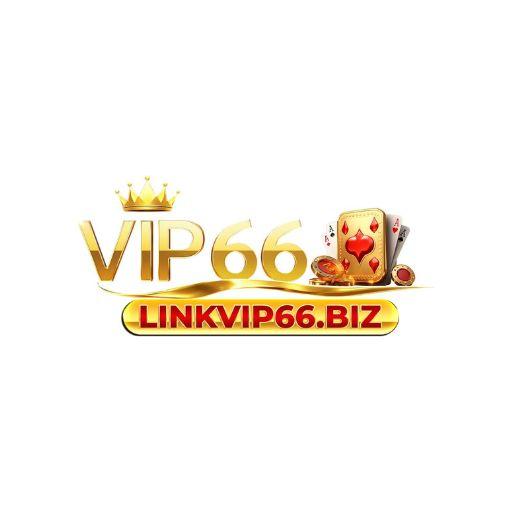 Linkvip Biz