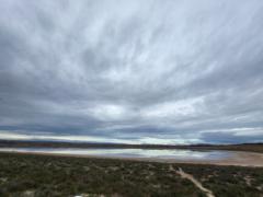 Marisa Puertas Franco