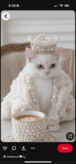 Wafa Alghamdi