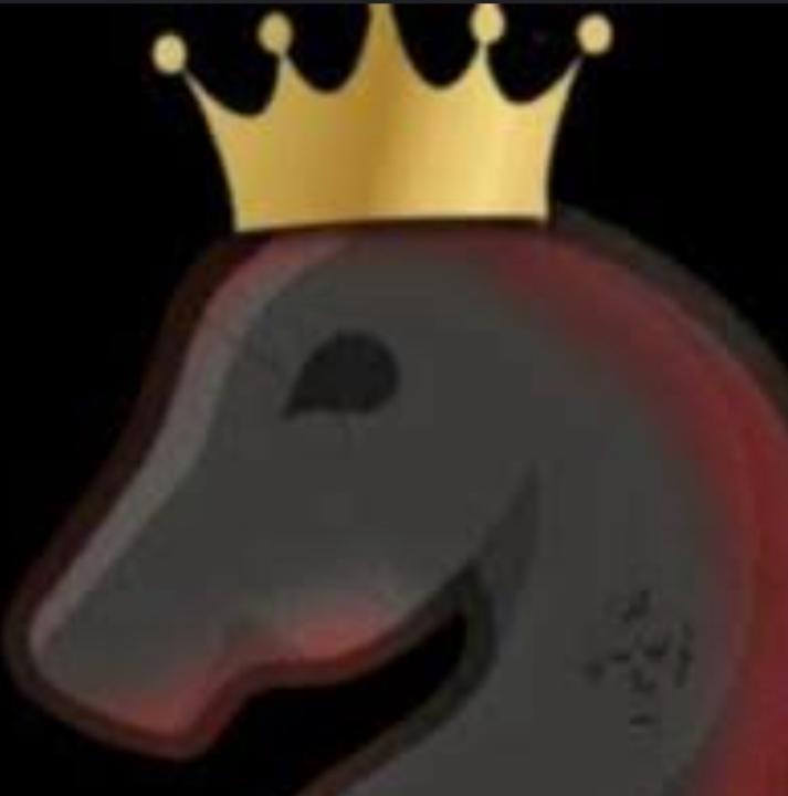 The Asian Knight