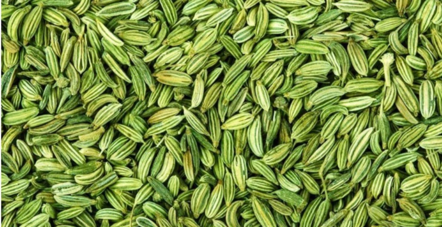 Fabulous Fantastic Fennel Seeds