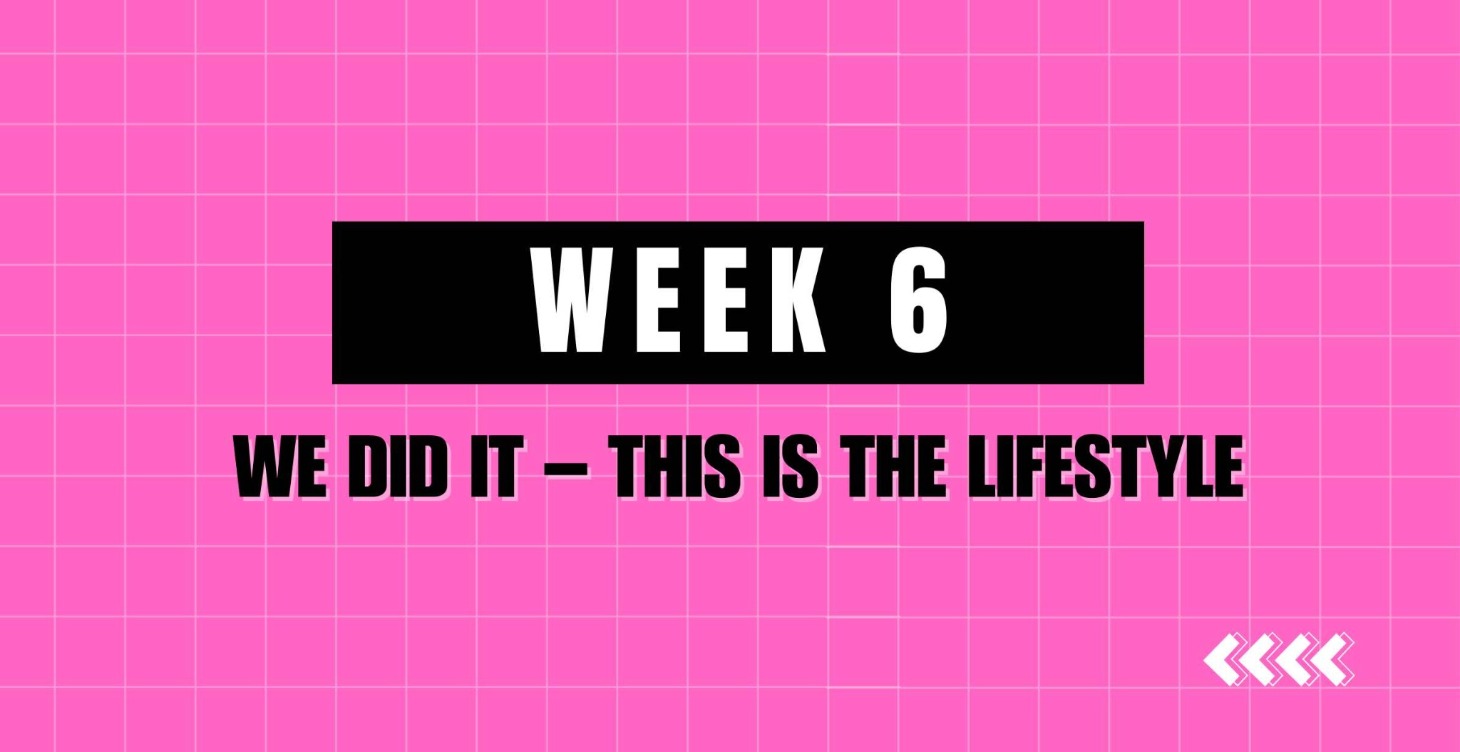 🎉 Phase 1 / Week 6
