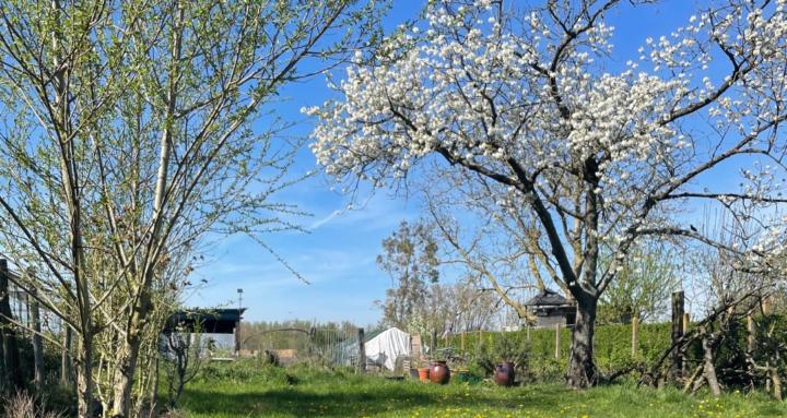 The Flemish Ardennes Life