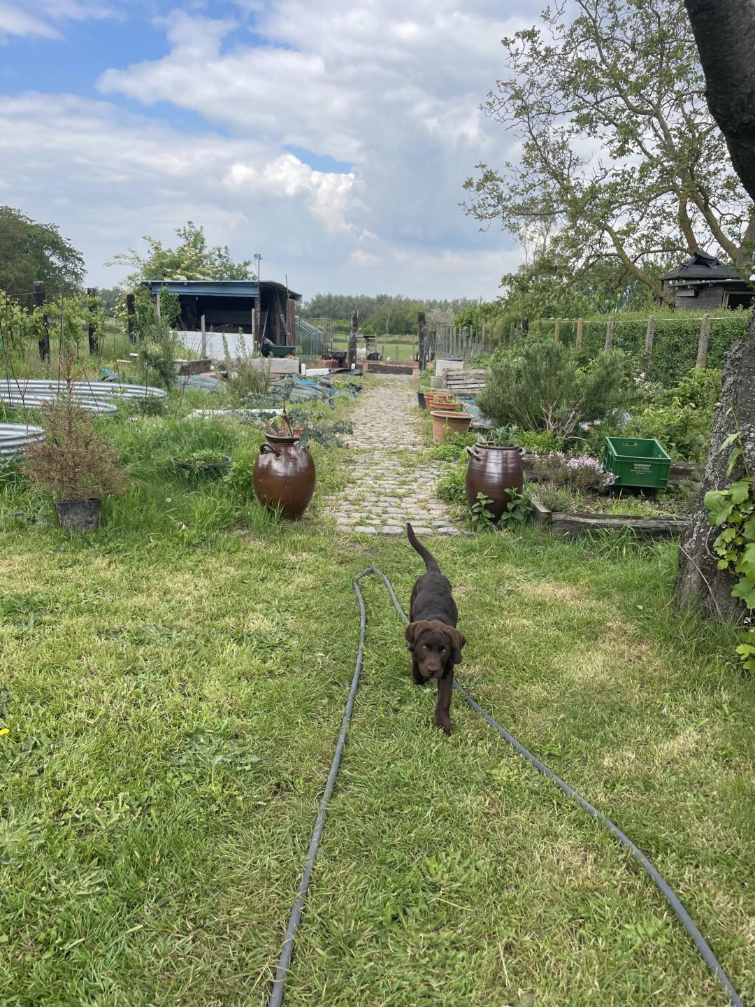 The Flemish Ardennes Life
