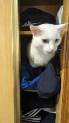 Ramon Tejón panadeiro